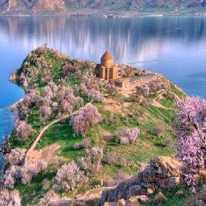 Meet your Posher, Rozheen